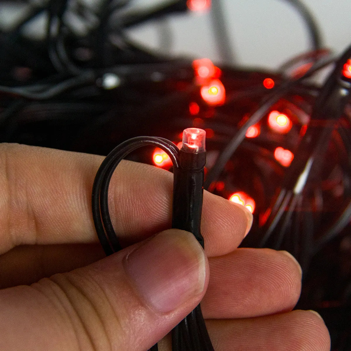 Amazing Spider Web LED Light