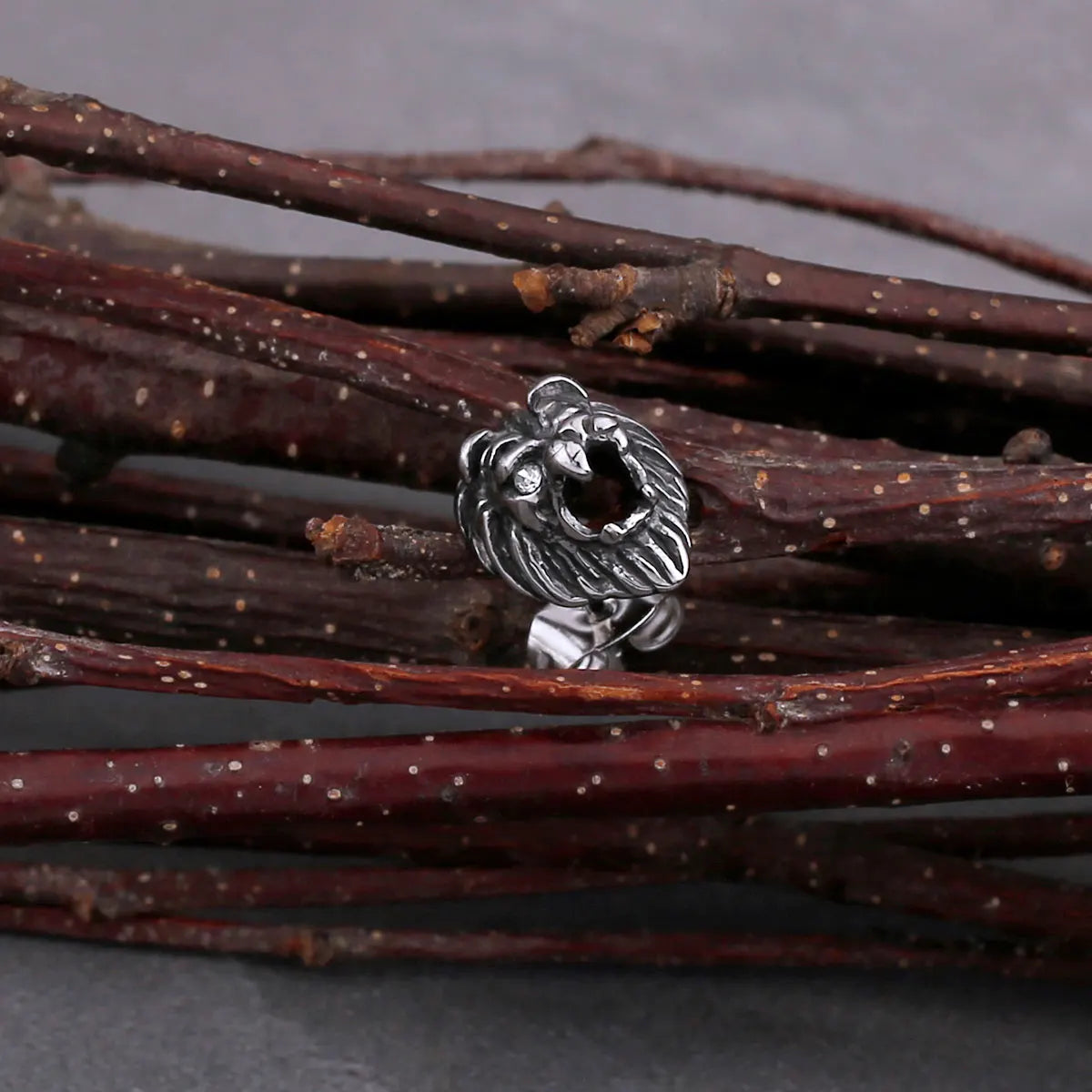 Amazing Lion Earrings