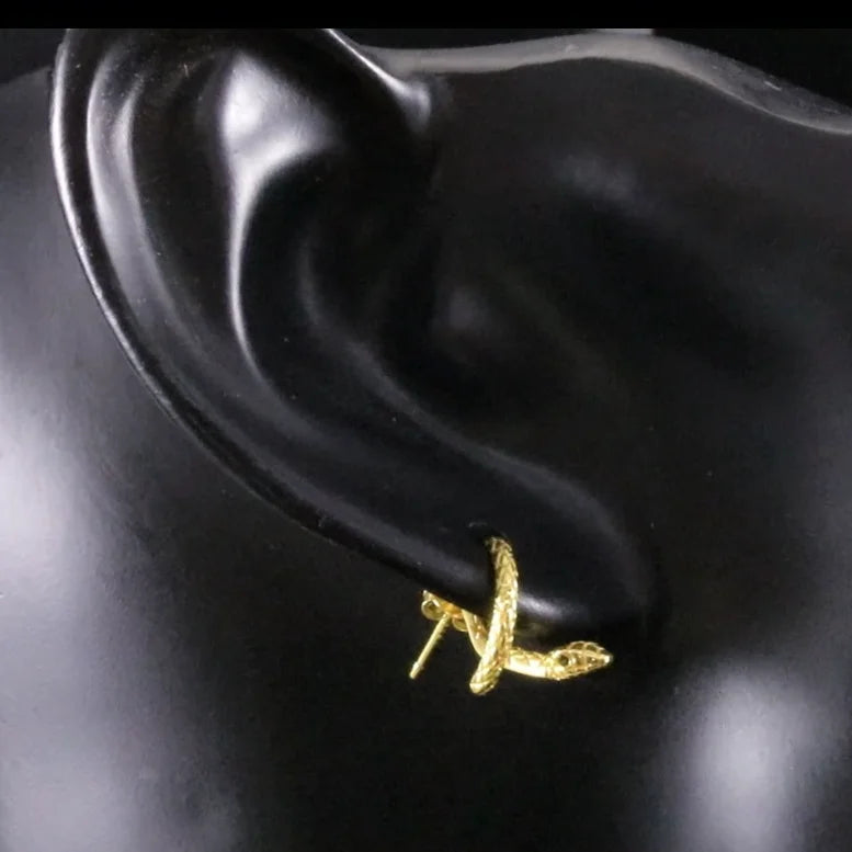 Amazing Snake Studs Earrings