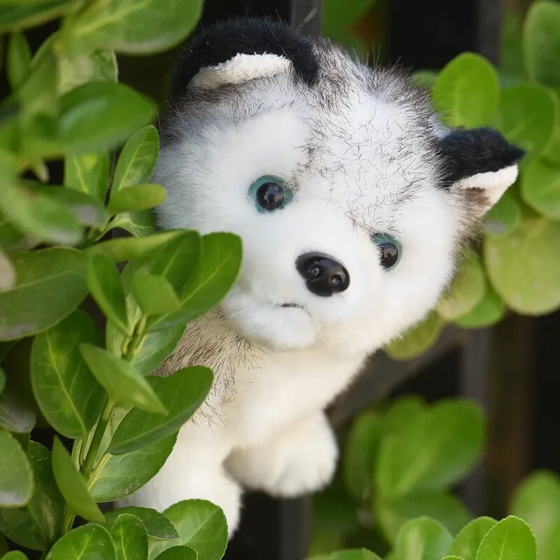 Cute Wolf Plush