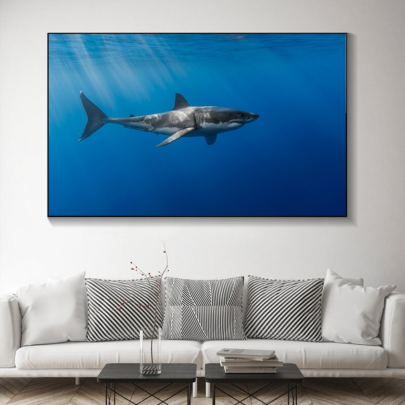 Modern Shark Canvas