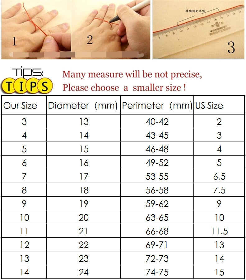 Amazing Lion Titanium Ring - animalchanel