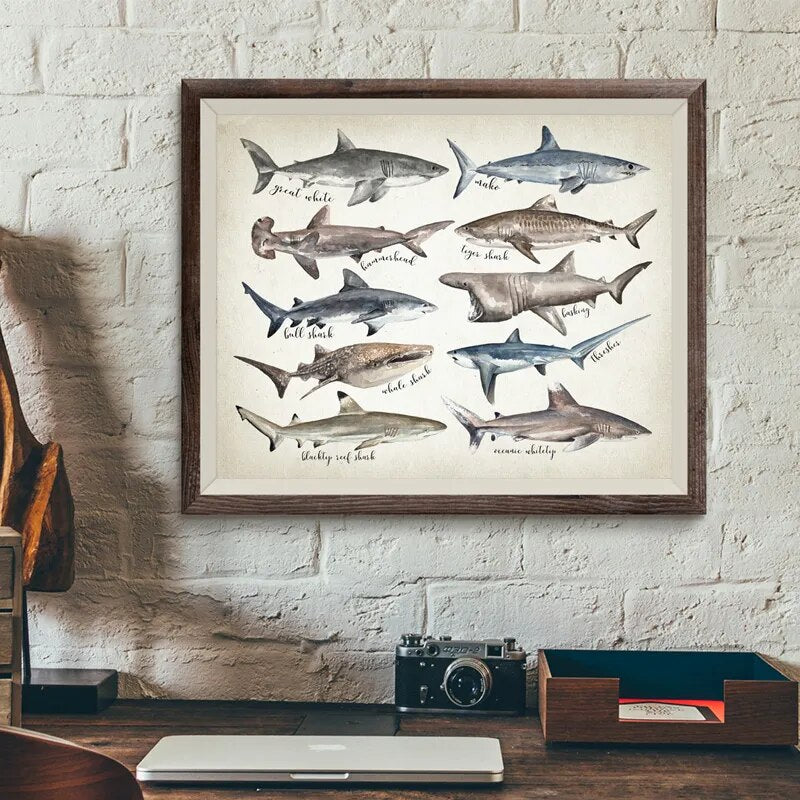 Unique Shark Canvas
