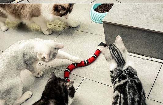 Smart Snake Toys for Pet