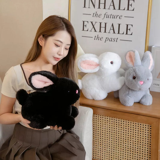 Cute Rabbit Plush Toys