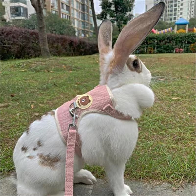 Newest Cute Rabbit Harness and Leash Set - animalchanel