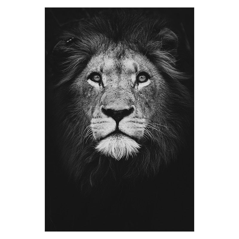 Gorgeous Lion Canvas - animalchanel