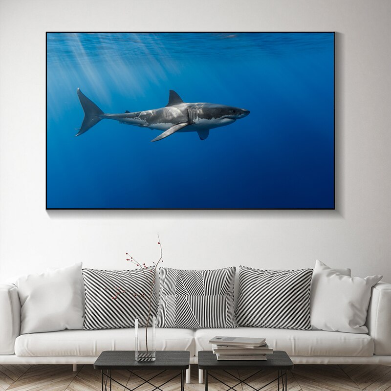 Modern  Shark Canvas