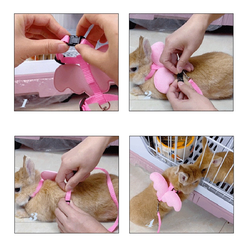 Cute Angel Wing Rabbit Harness and Leash