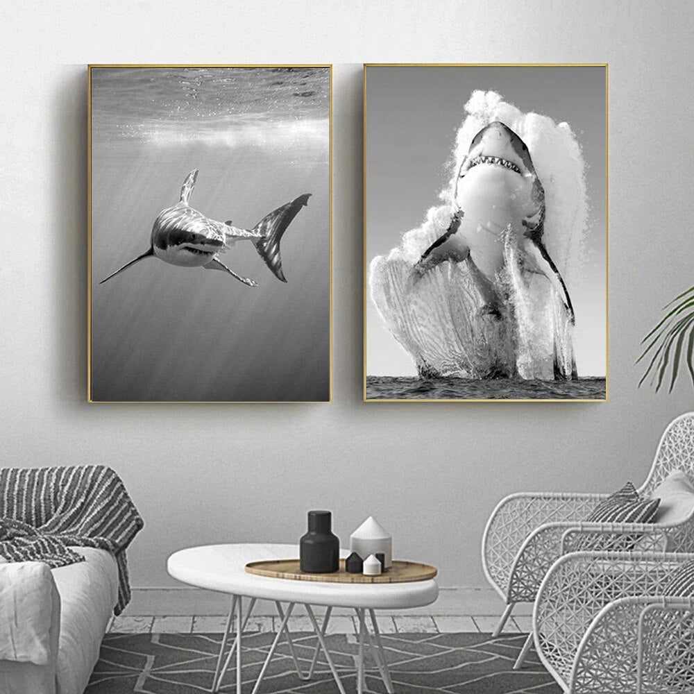 Unique Shark  Black White Canvas - animalchanel