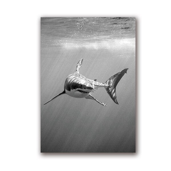 Unique Shark  Black White Canvas - animalchanel